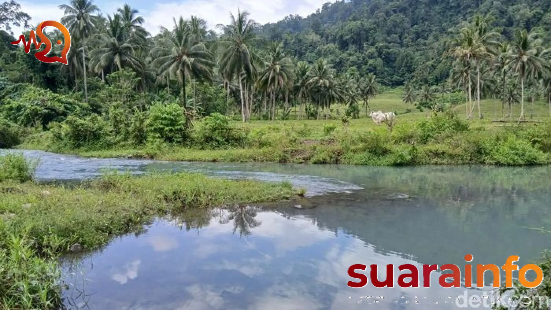 Menelusuri Jejak ‘Aare’ di Jantung Sulawesi: Pesona Eksotis Sungai Binuanga yang Memikat Mata