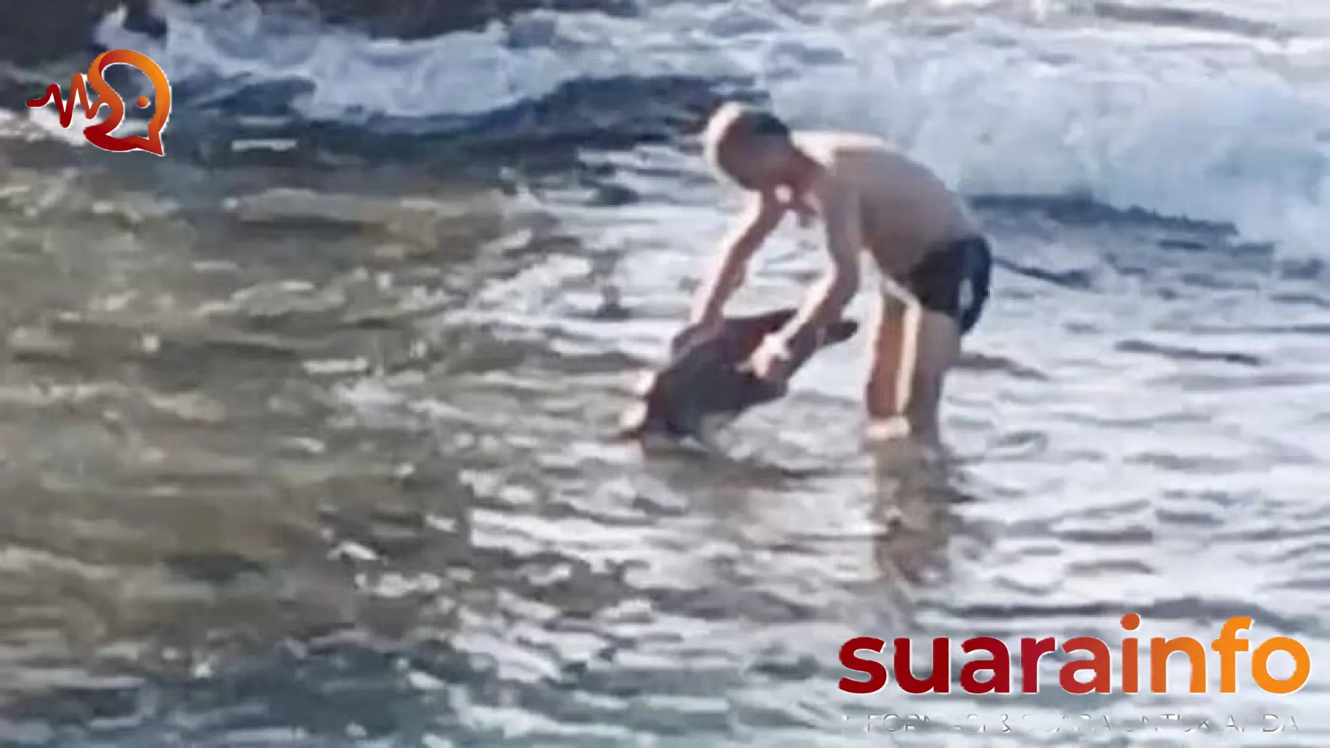 Insiden Penyu di Xiaoliuqiu: Alibi ‘Ditabrak Satwa’ Tak Selamatkan Turis Ini dari Jeratan Hukum