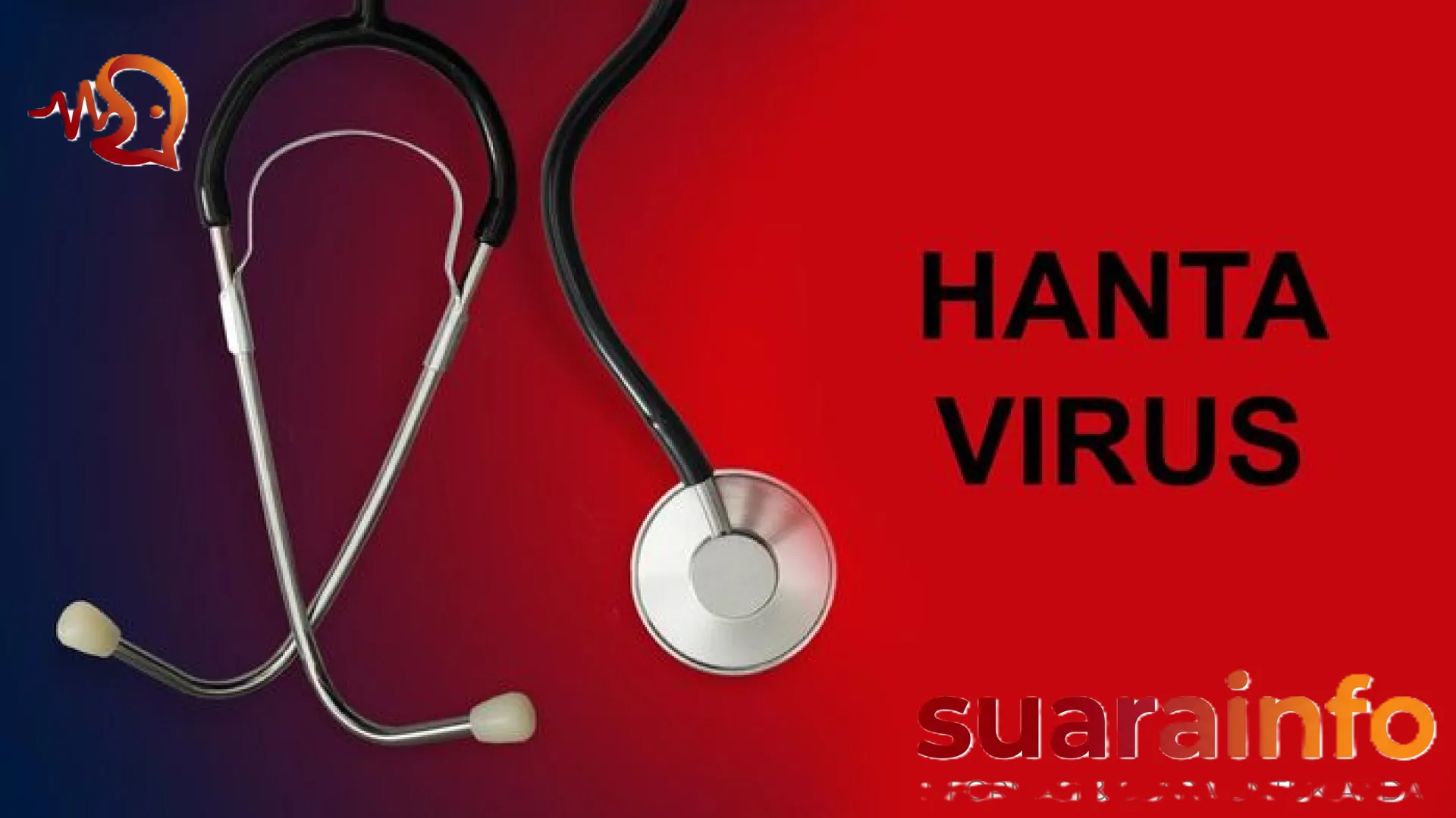 Waspada Ancaman Hantavirus di Indonesia: Kenali Risiko di Balik Hobi Mendaki dan Camping