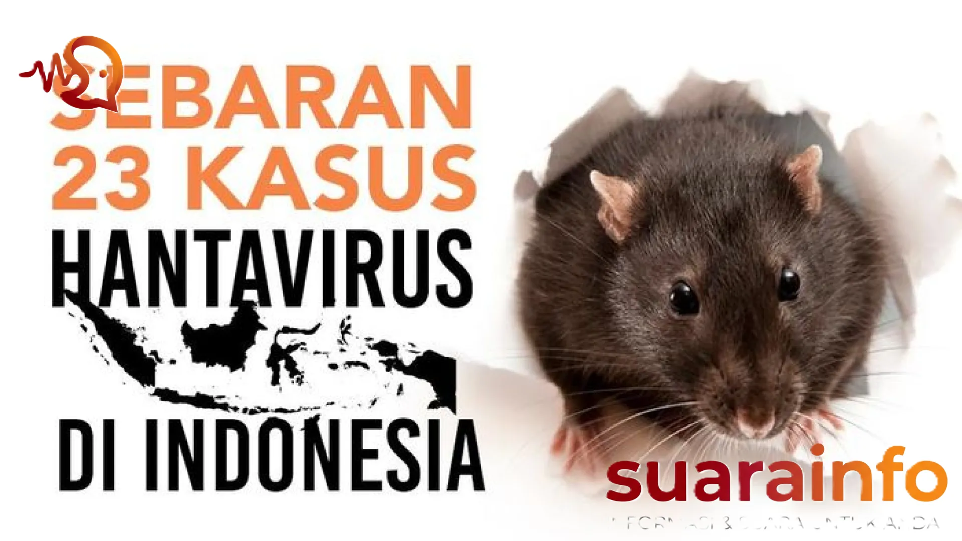 Menelusuri Jejak Hantavirus di Indonesia: Ancaman Senyap di Balik Bayang-Bayang Hewan Pengerat