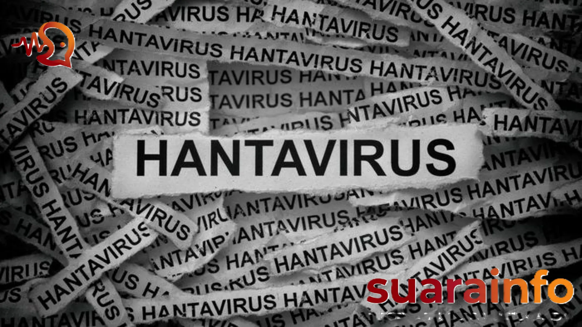 IDAI Ingatkan Publik Tak Terjebak Kepanikan Hantavirus, Fokus Penanganan Campak dan Difteri Lebih Mendesak