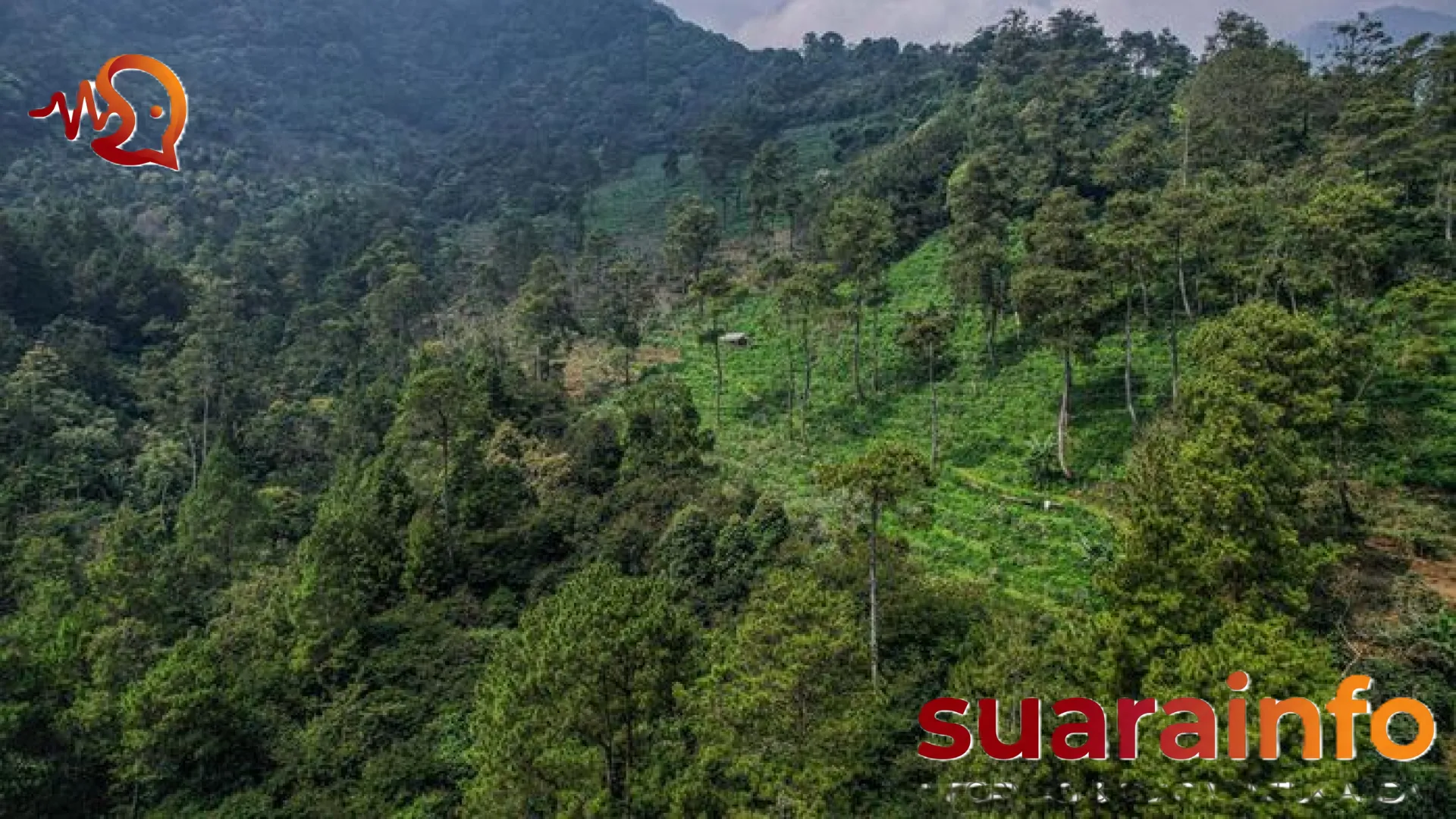 Drama Pencarian Mahasiswa ITB di Gunung Puntang Berakhir Bahagia: Arief Wibisono Ditemukan Selamat Setelah Tersesat 8 Kilometer