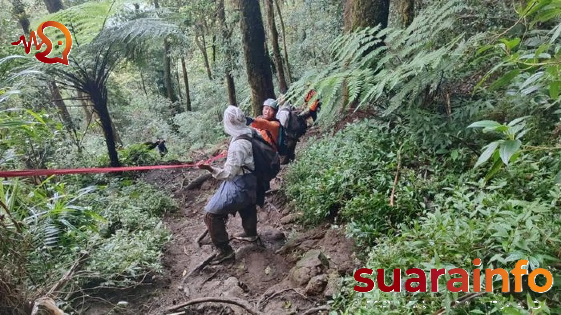Tragedi di Lereng Batukaru: Hilang Dua Pekan, Pendaki Lansia Ditemukan Tak Bernyawa di Kedalaman Jurang 93 Meter