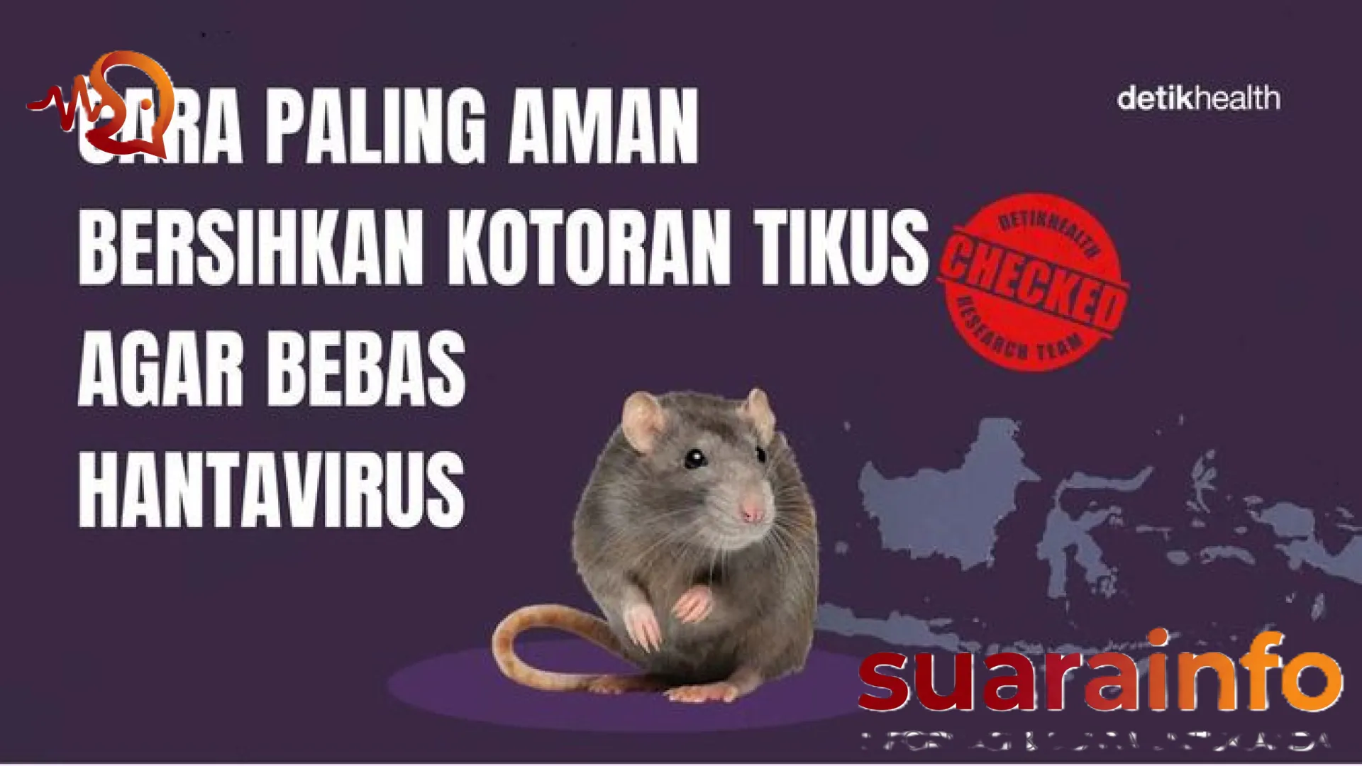 Awas Ancaman Hantavirus! Kenali Cara Paling Aman Membersihkan Kotoran Tikus agar Tidak Salah Langkah
