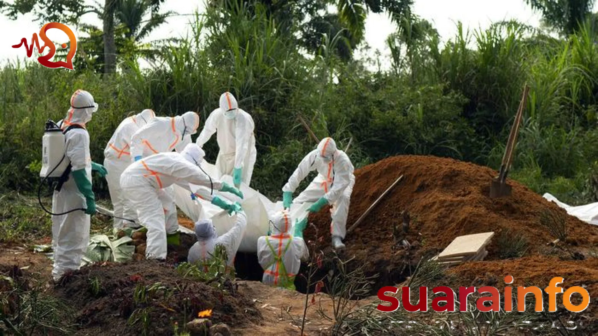 Krisis Kemanusiaan di Kongo: Mengupas Ganasnya Wabah Ebola Strain Bundibugyo yang Merenggut Puluhan Nyawa
