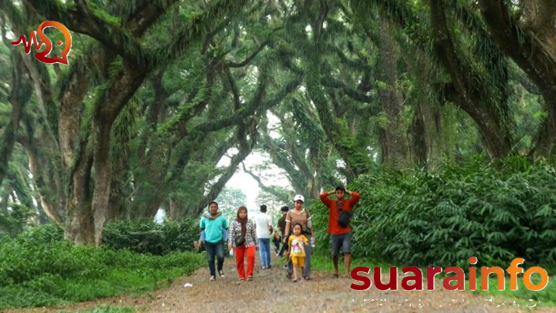 Banyuwangi Dibanjiri 47 Ribu Pelancong Saat Long Weekend, Sektor Perhotelan Capai Okupansi Maksimal