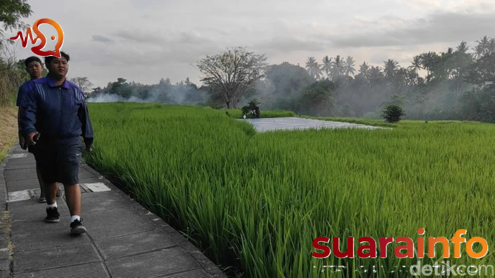 Subak Bali di Persimpangan Jalan: Menilik Nasib Warisan Budaya yang Terkepung Hutan Beton
