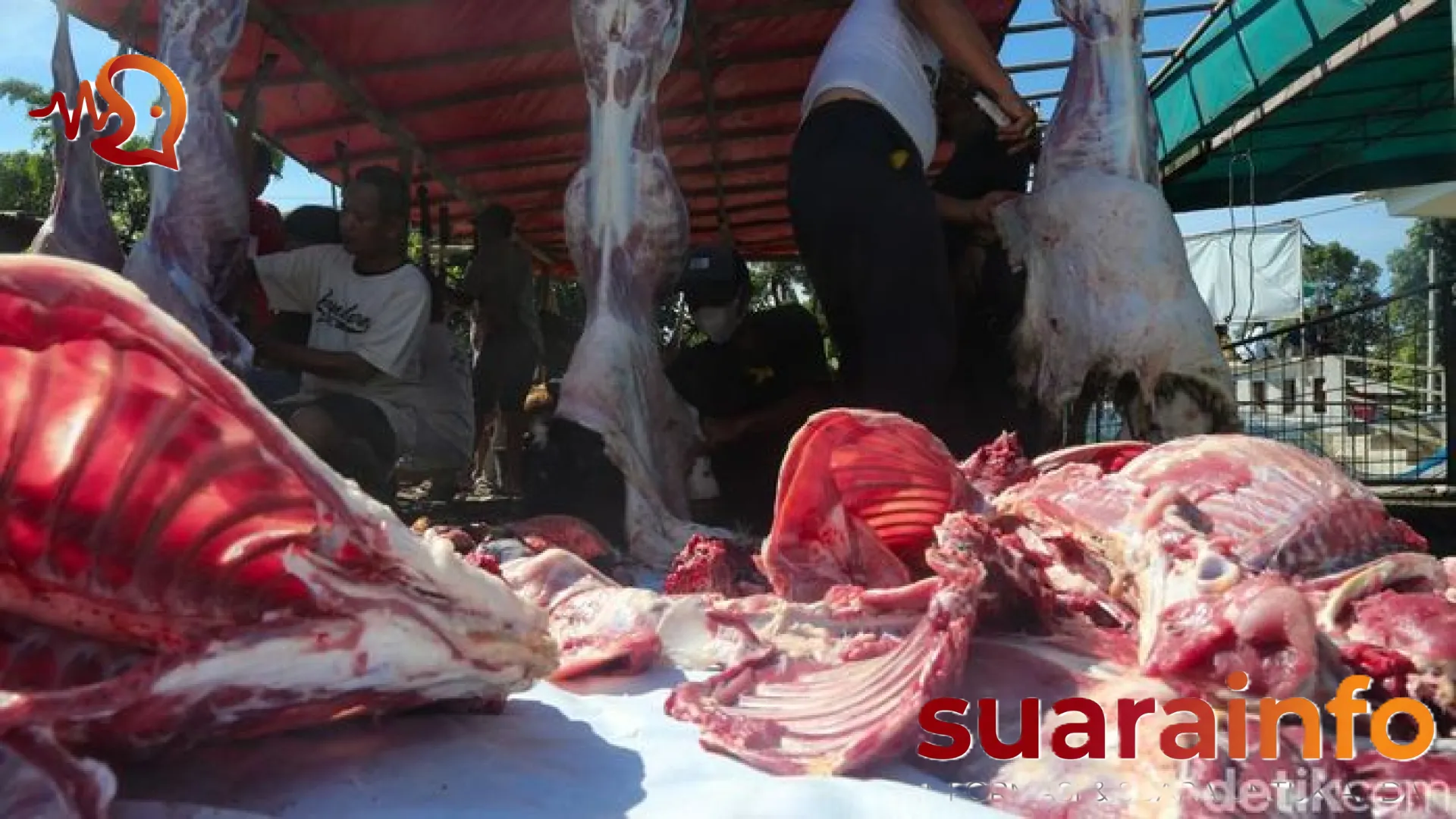 Rahasia Daging Empuk Tanpa Alot: Mengupas Tuntas Sains di Balik Nanas dan Daun Pepaya Bersama Pakar IPB