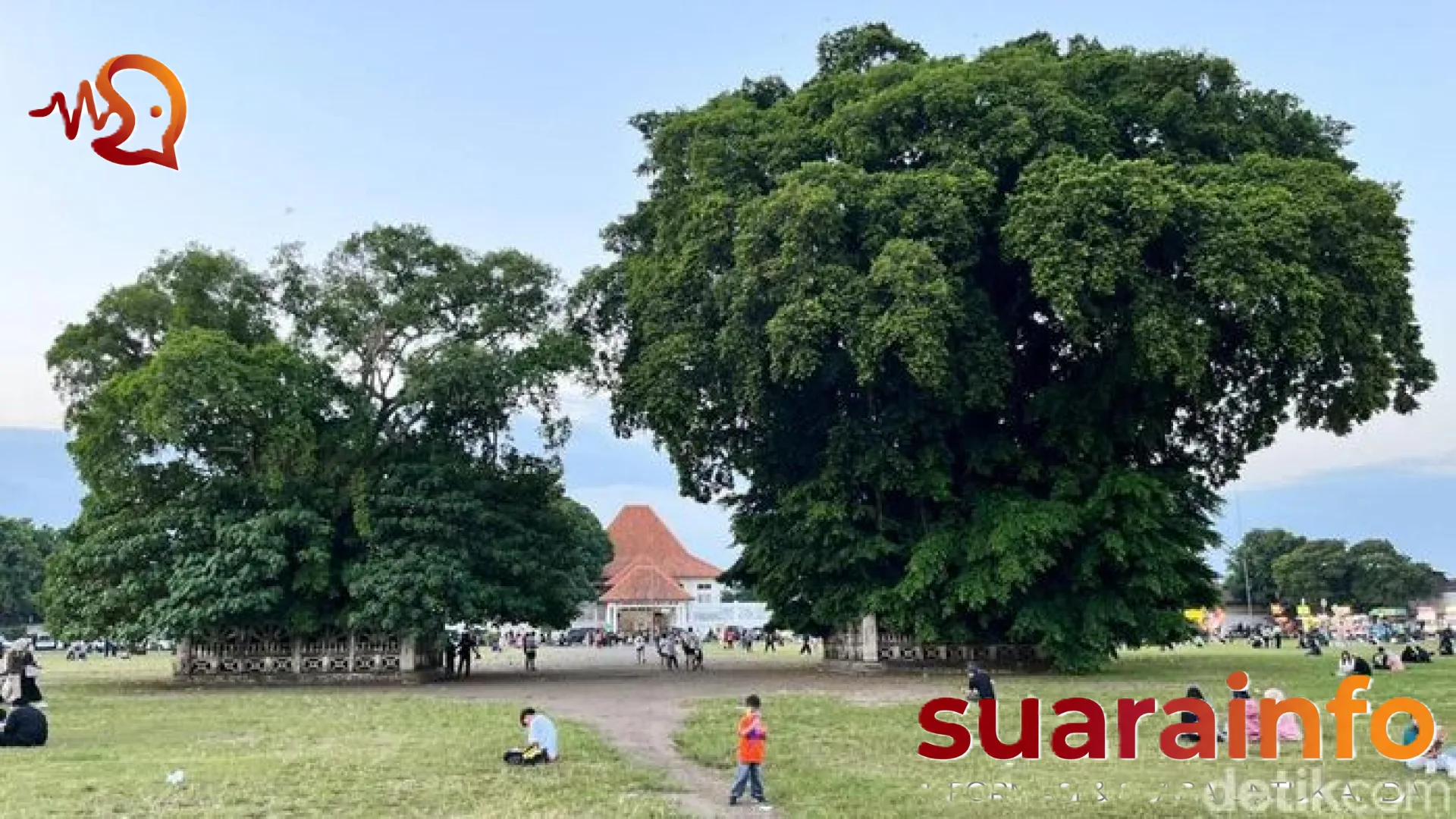 Mitos Masangin di Alun-alun Kidul: Menguji Ketulusan Hati Lewat Dua Beringin Kembar Yogyakarta