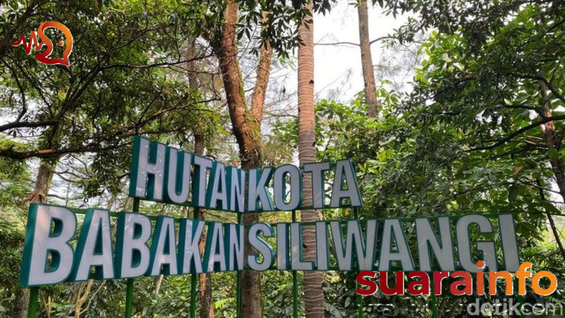 Menjelajahi Hutan Kota Babakan Siliwangi: Paru-paru Hijau Bandung dengan Forest Walk Terpanjang di Asia Tenggara