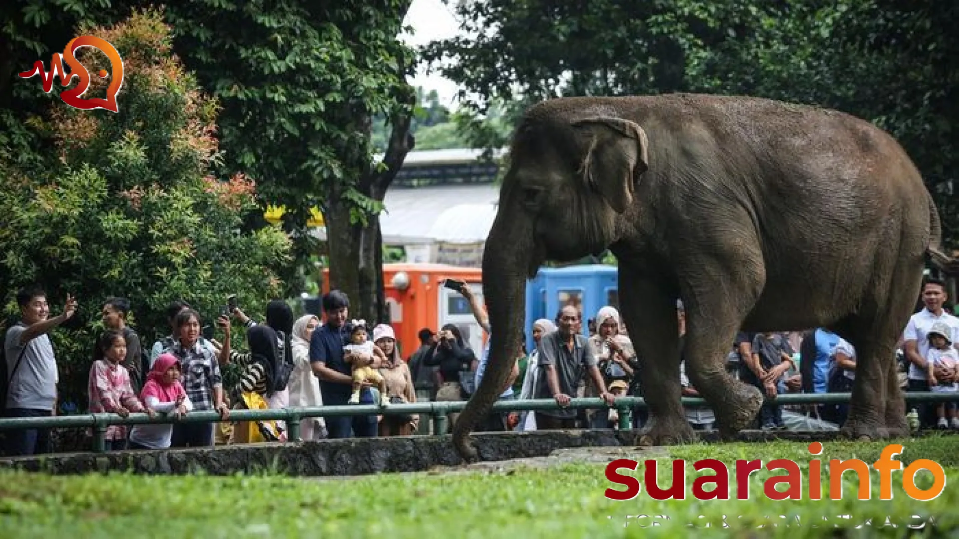 Insiden Mendebarkan di Kandang Gajah Ragunan: Kenneth Desak Audit Total Standar Keamanan Fasilitas Publik