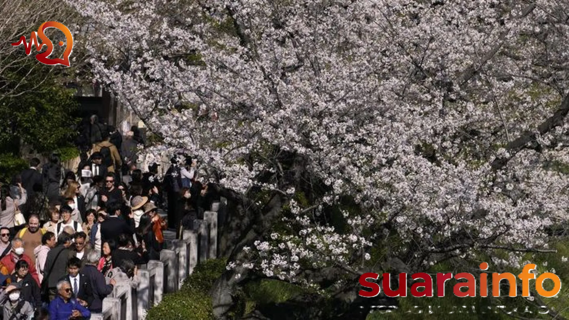 Pintu Masuk Negeri Sakura Kian Terbatas? Jepang Resmi Sahkan Kenaikan Drastis Biaya Visa dan Izin Tinggal