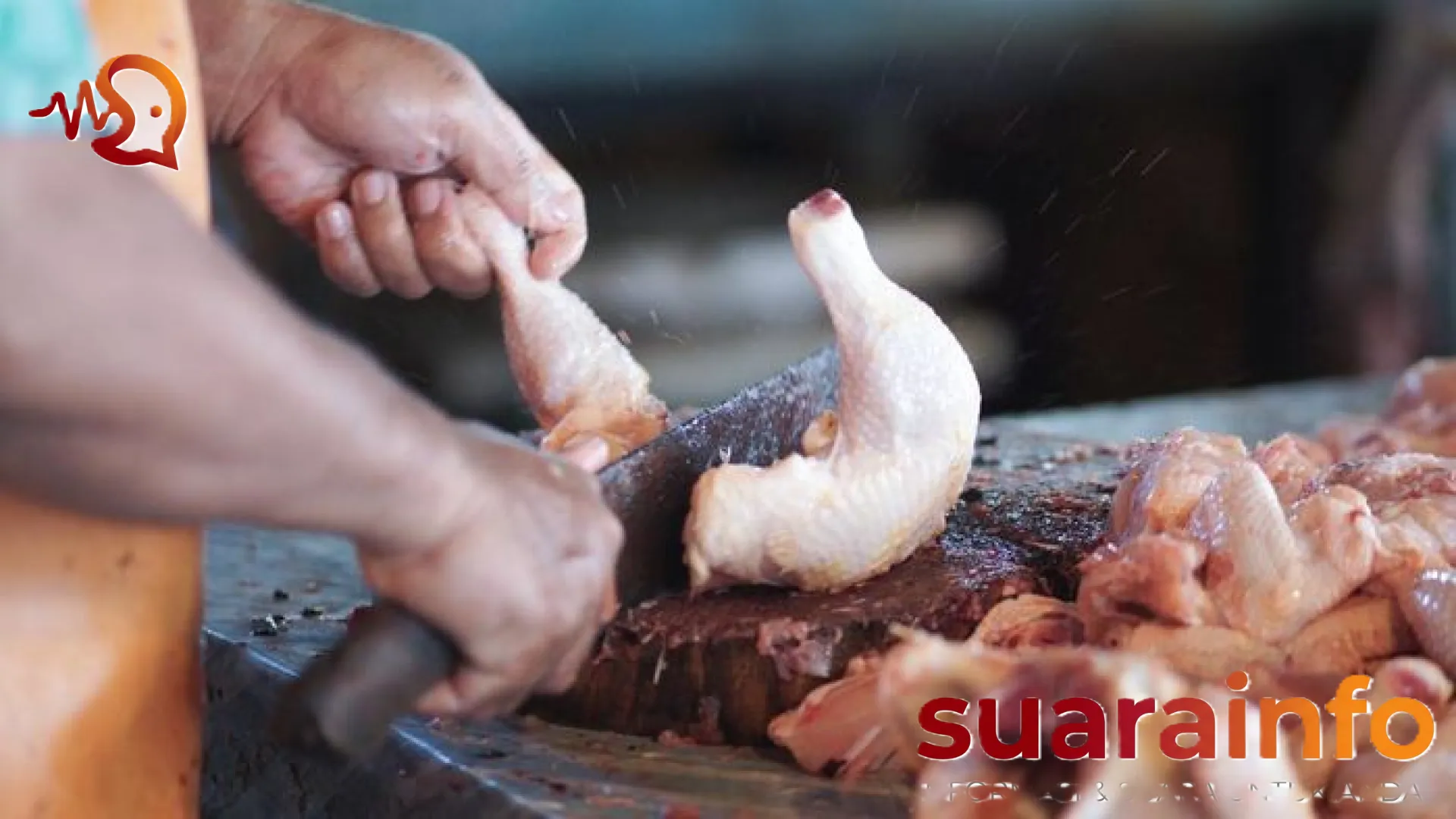 Analisis Gizi Ayam 14 Potongan dalam Program Makan Bergizi Gratis: Mengapa Presiden Prabowo Sampai Menyebut ‘Dosa’?