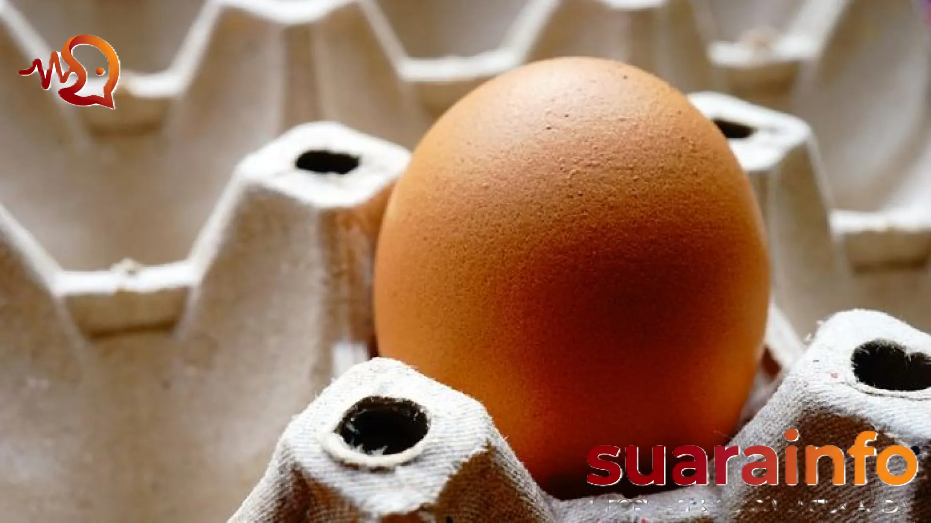 Telur Omega-3 vs Telur Biasa: Mengupas Tuntas Perbedaan Nutrisi dan Manfaat Nyata bagi Kesehatan