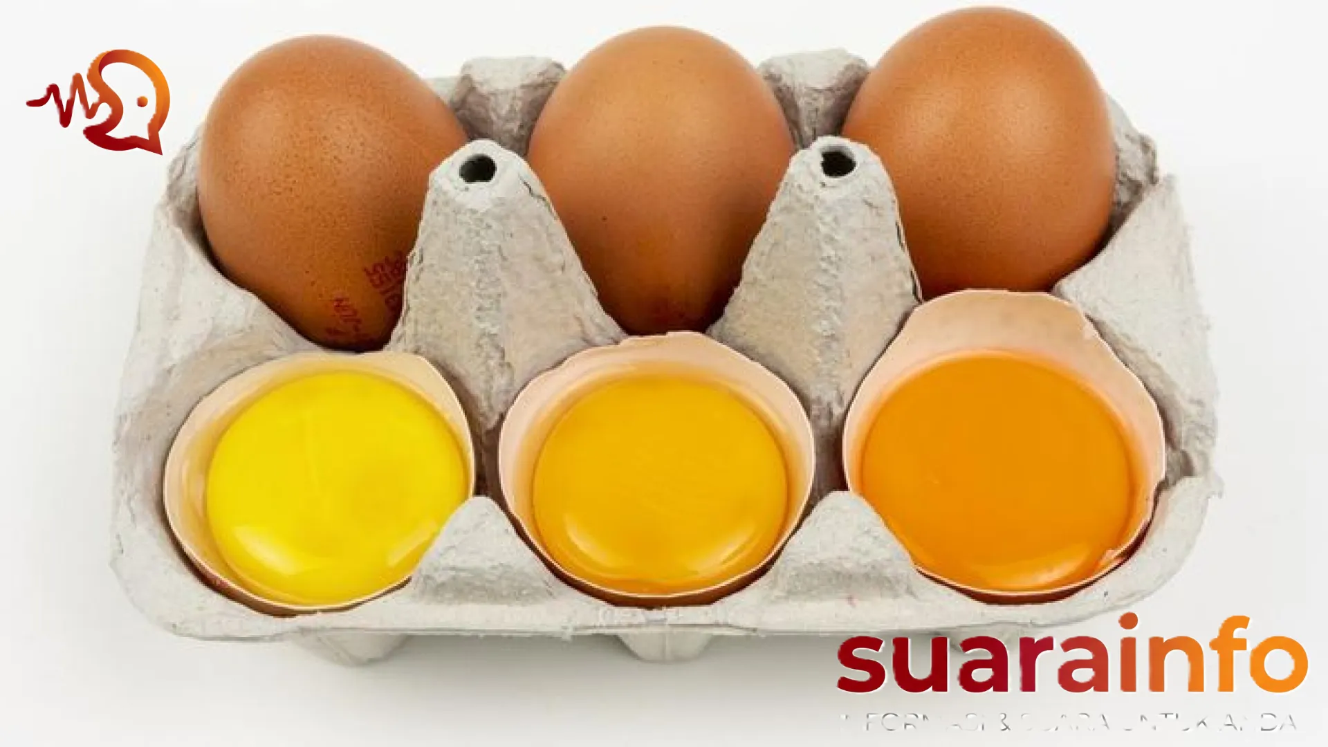 Menguak Misteri Warna Kuning Telur Omega 3: Antara Mitos Kualitas dan Fakta Nutrisi