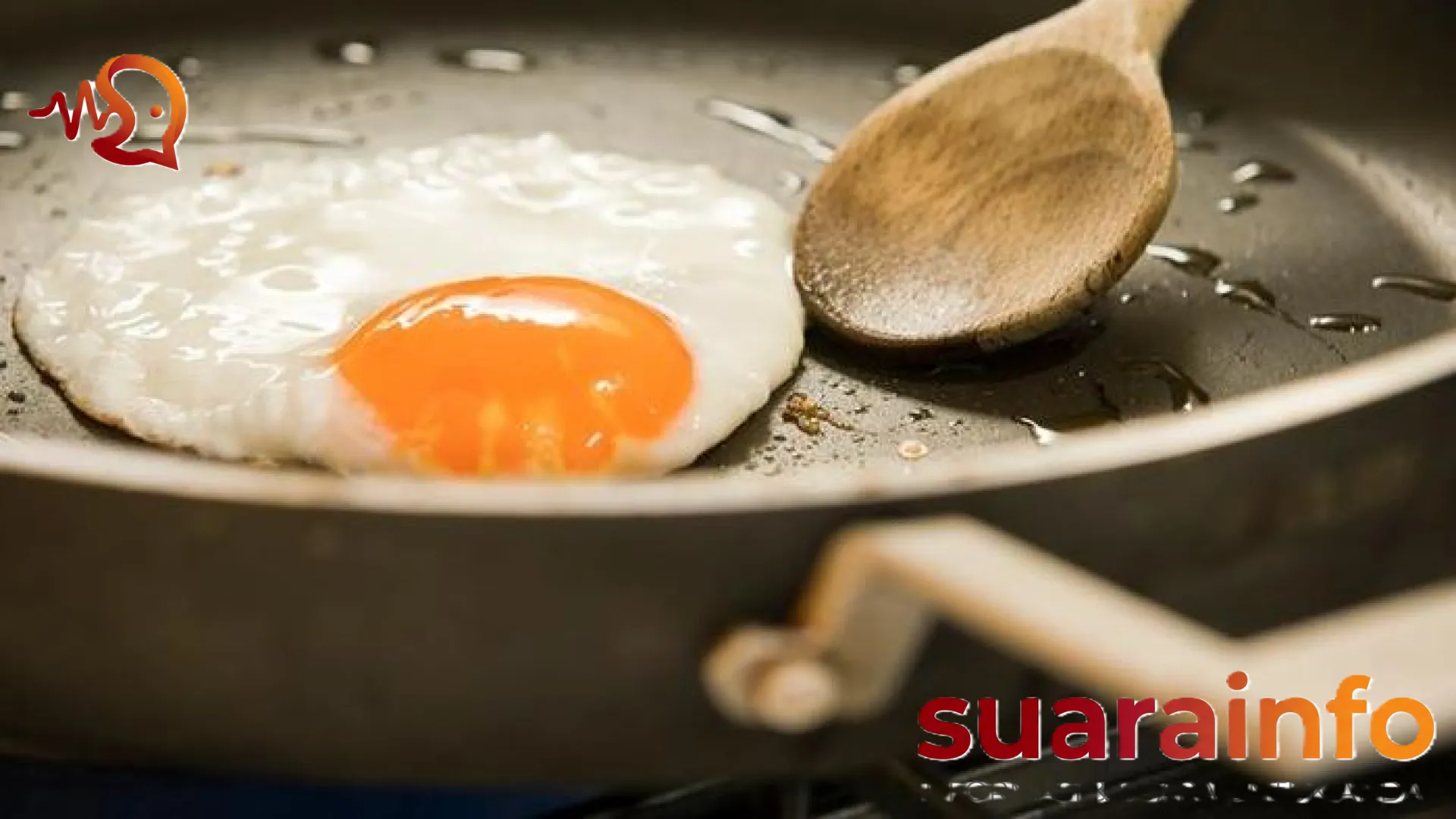 Mitos Warna Kuning Telur Oranye: Benarkah Pasti Kaya Omega-3? Ini Penjelasan Ilmiahnya