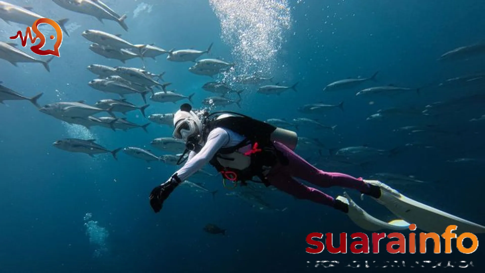Lautan Indonesia di Titik Nadir: Menelisik Luka Ekologis di Balik Narasi Surga Wisata Bahari