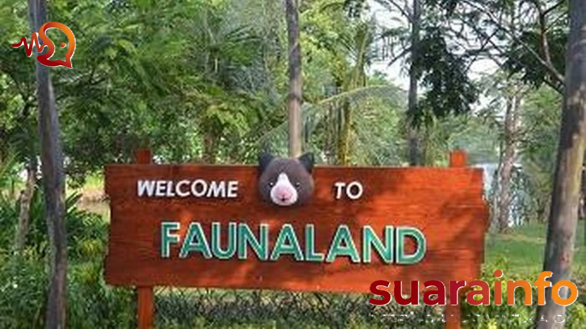 Wajah Baru Bandung Zoo: Menilik Komitmen Faunaland Ancol dalam Mewujudkan Kesejahteraan Satwa dan Konservasi Kelas Dunia
