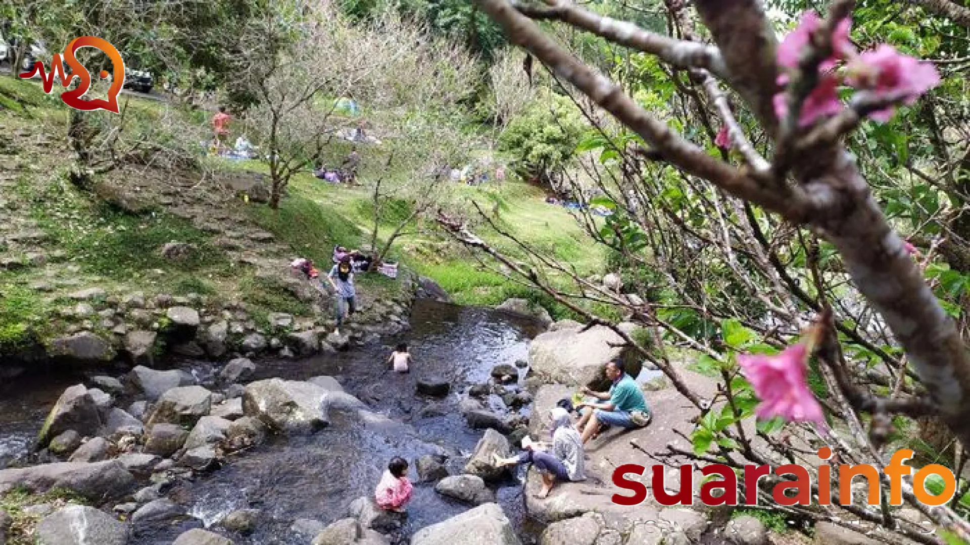 Pesona Abadi Kebun Raya Cibodas: Destinasi Eduwisata Favorit yang Tetap Ramah di Kantong Wisatawan