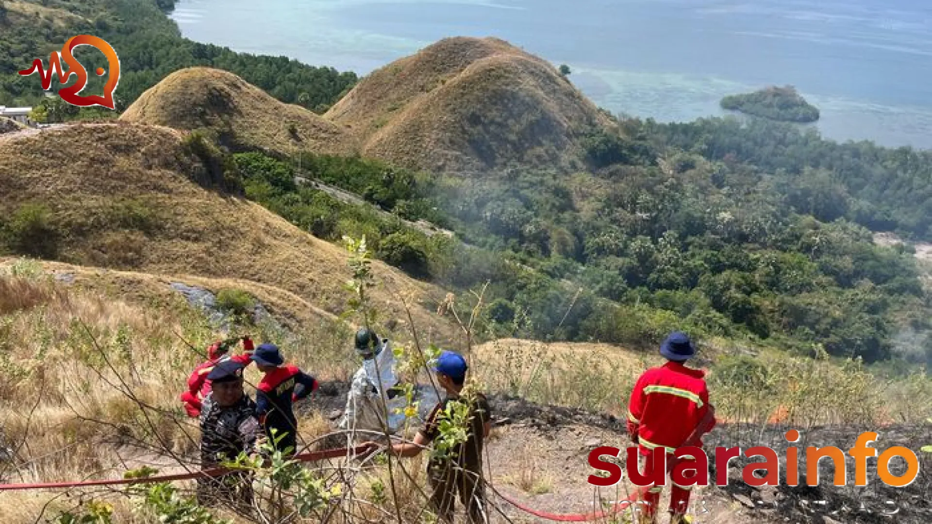 Petaka Puntung Rokok di Labuan Bajo: Mengulas Kronologi Kebakaran Bukit Silvia dan Ancaman Ekosistem Wisata
