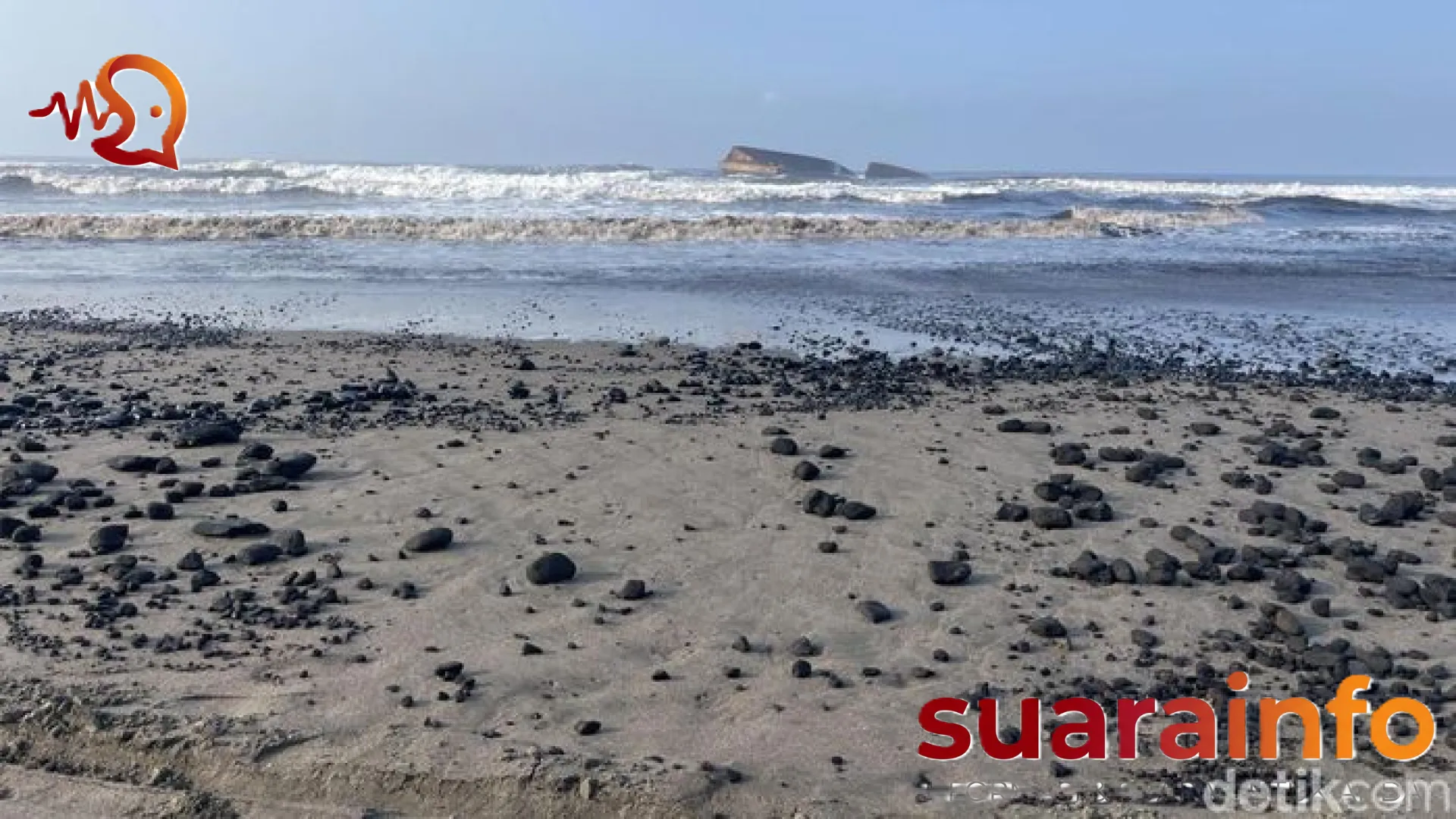 Bencana Ekologi di Batuhiu: Tumpahan Batu Bara Mengancam Keberlangsungan Penyu Pangandaran