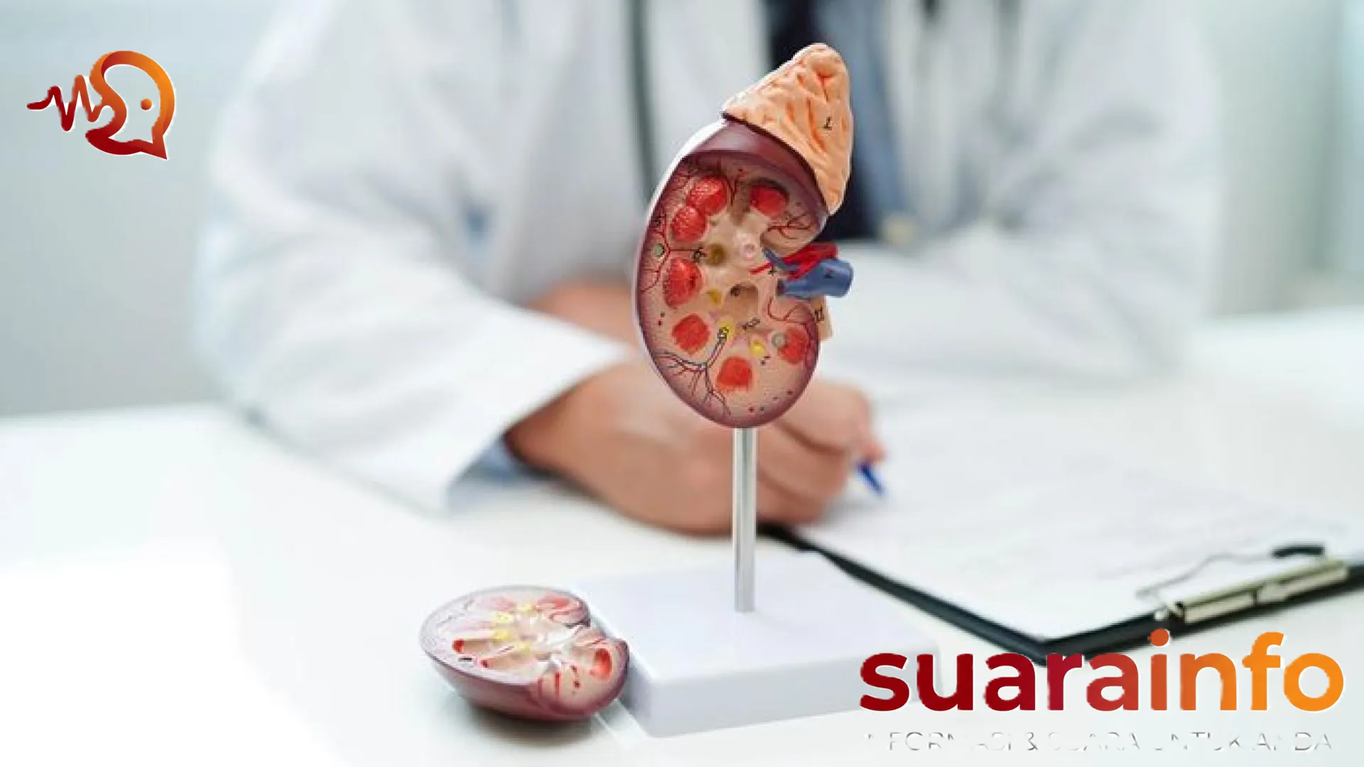 Mengenal Gagal Ginjal Kronis: Ancaman ‘Silent Disease’ yang Mengintai Tanpa Gejala Awal